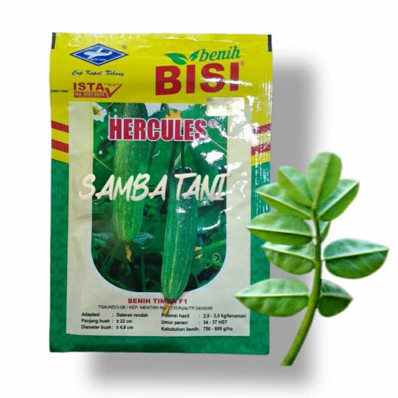 BENIH TIMUN MENTIMUN HERCULES 10 GRAN