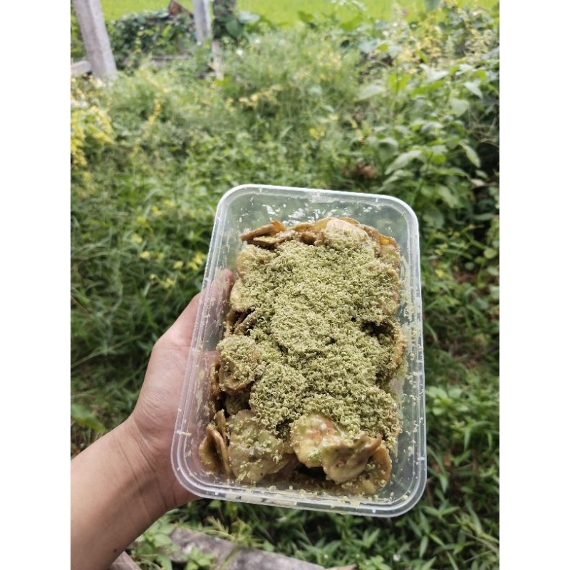 

(FREE SUMPIT) KERIPIK PISANG LUMER GREENTEA 250GRAM