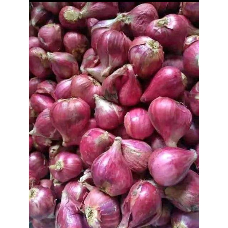 

bawang merah asli Brebes