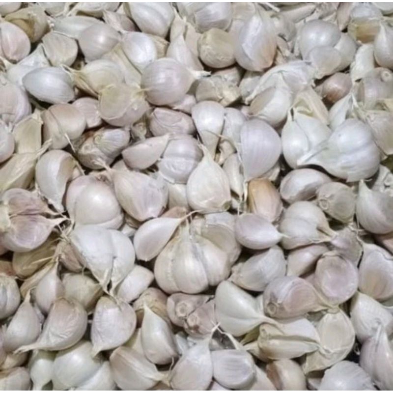 

Bawang putih