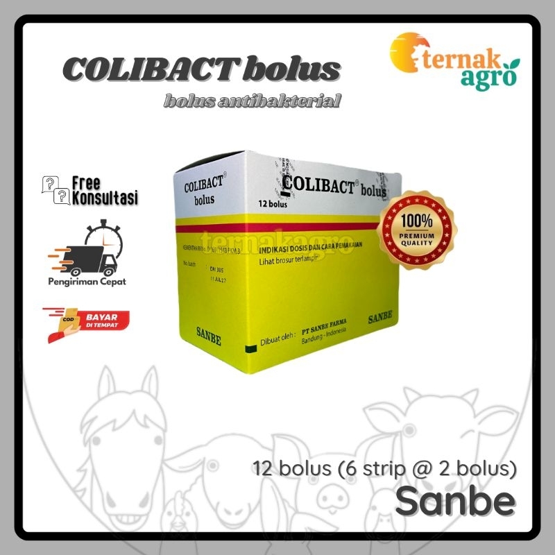 COLIBACT bolus - kemasan box