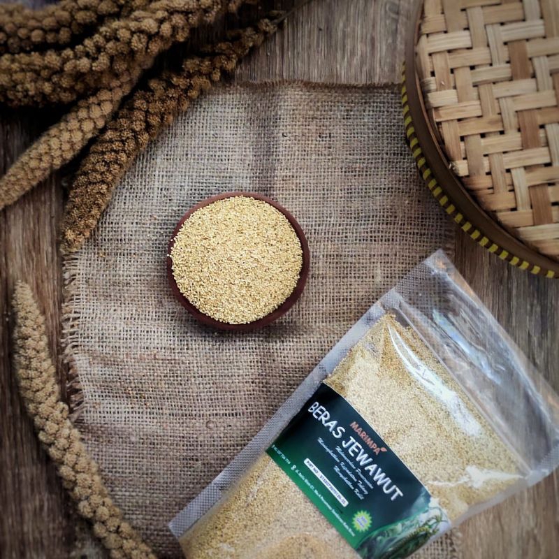 Millet/Foxtail millet/Jewawut/Witi