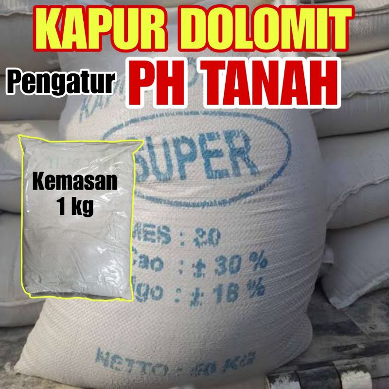 KAPUR DOLOMIT KAPUR PERTANIAN KEMASAN REPACK. PUPUK KAPUR DOLOMIT PENGATUR PH TANAH