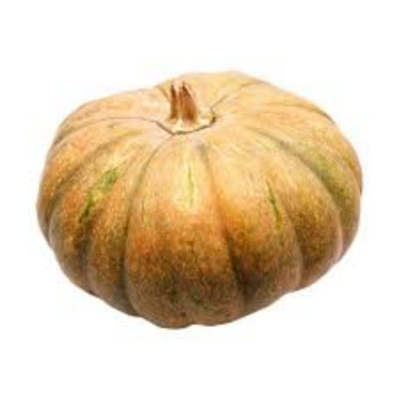 

Buah Lawu Labu Tua Muda Matang Mentah Sayur Sehat Segar