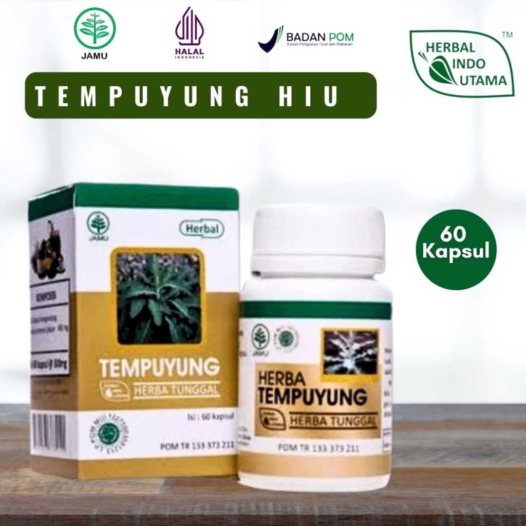 HIU TEMPUYUNG Herbal KENCING BATU EMPEDU DAN BATU GINJAL ASLI 60 Kapsul