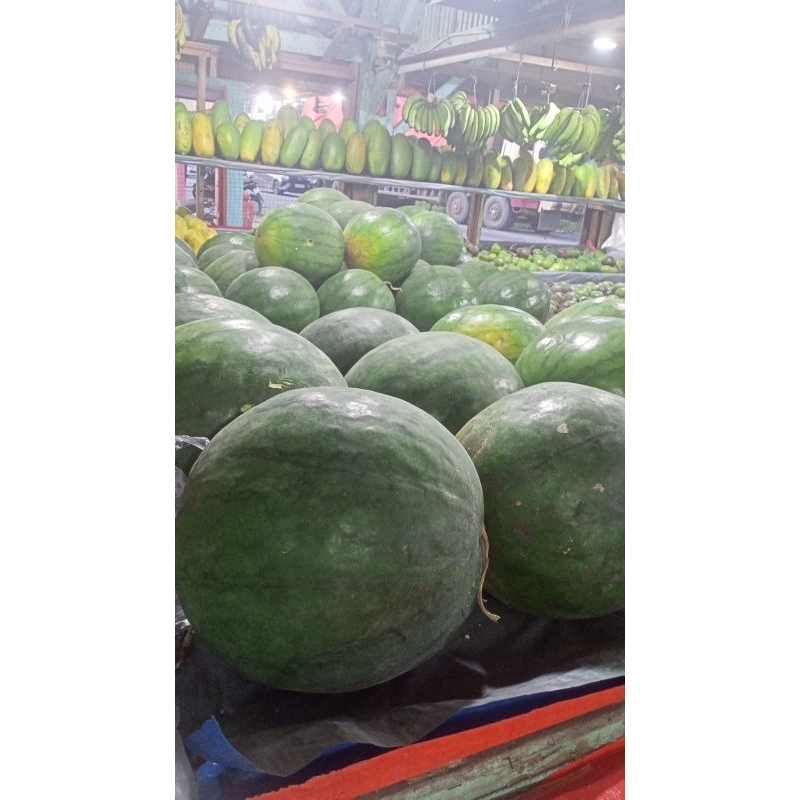 

Semangka Merah Manis 10 rb/Kg