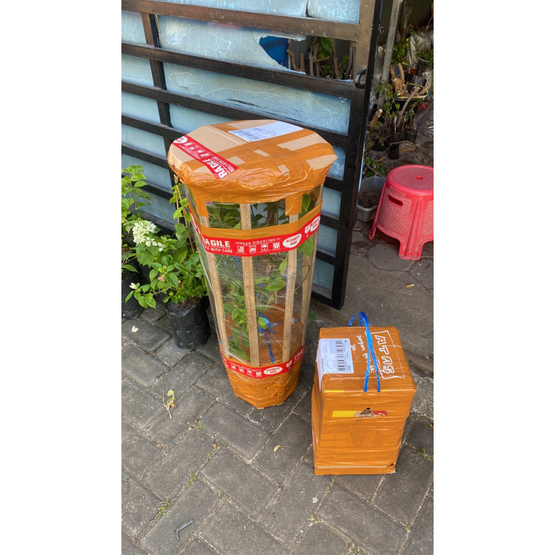 Bougenville Packing besar Kargo