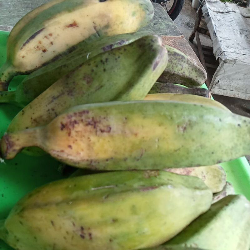 

Buah Pisang Kepok Pakan Burung Mentah Termurah Perbuah