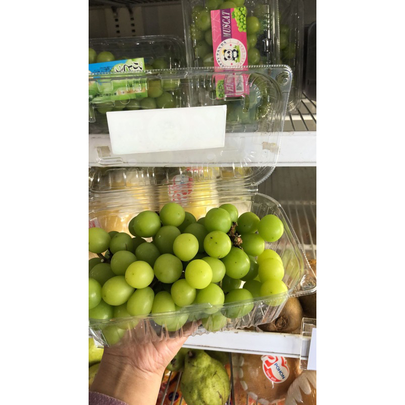 

buah anggur hijau per pack shine muscat import per pack