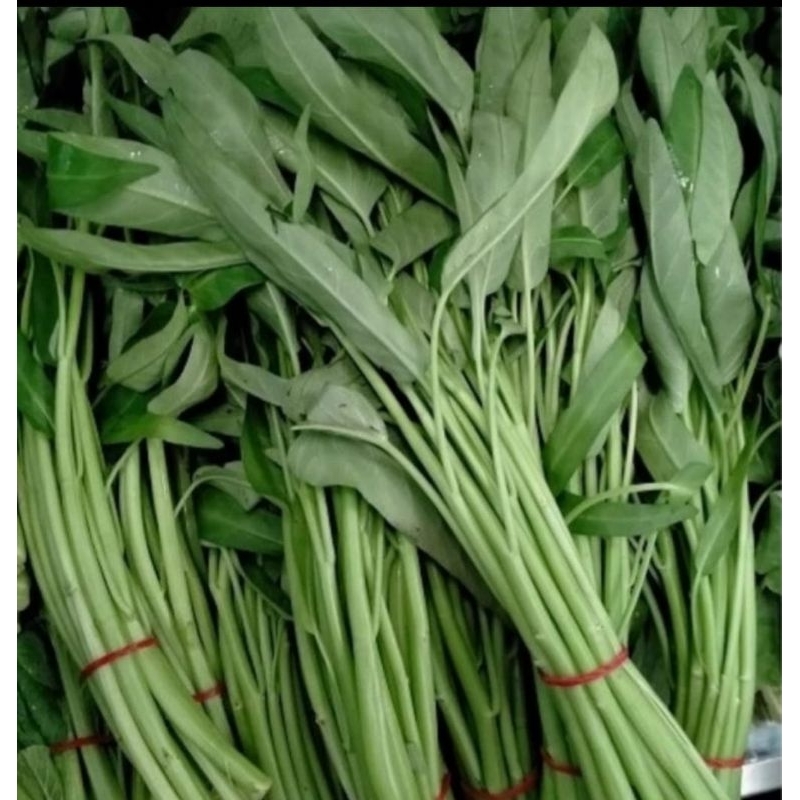 

Sayur Kangkung Fresh