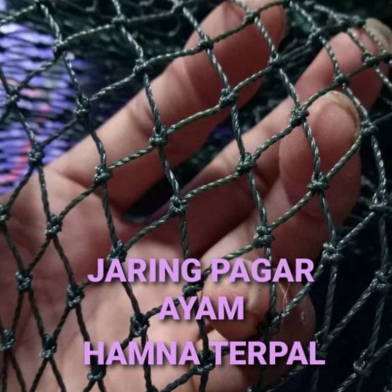KODE Q76N jaring pagar ayam 2 x 1 meter  jaring kandang bebek  jaring ayam  jaring TEBAL