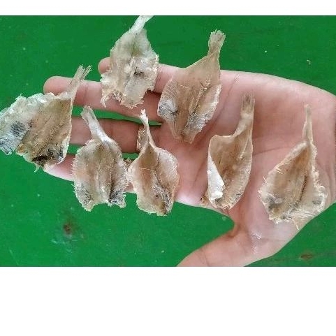 

Ikan Kerupuk kapasan per bal 2kg harga GROSIR