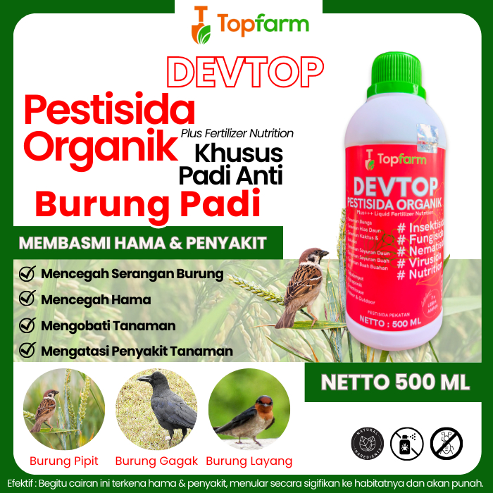 Obat Hama Burung Piit / Obat Hama Burung Sawah / Obat Hama Padi Burung Pipitobat Semprot Padi Hama B