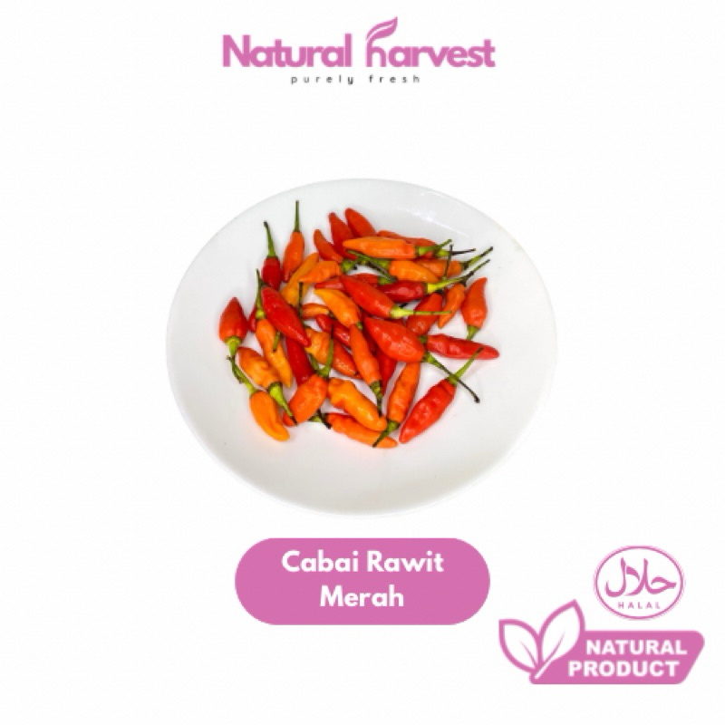 

Cabai/Cabe Rawit Merah | NaturalHarvest!
