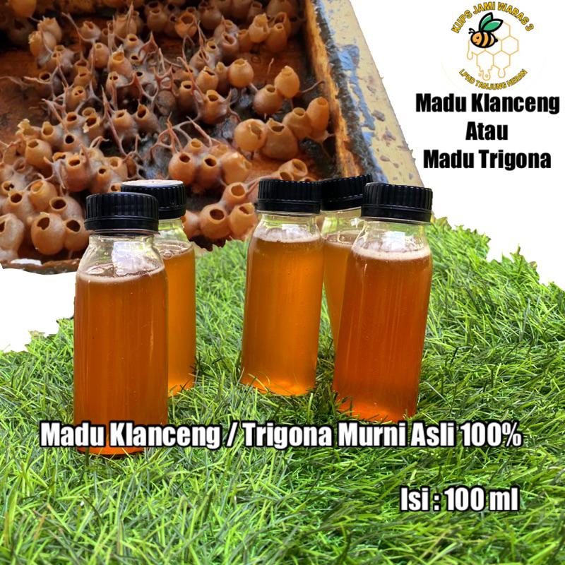 

Madu Klanceng / Trigona Murni 100% isi 100 ml