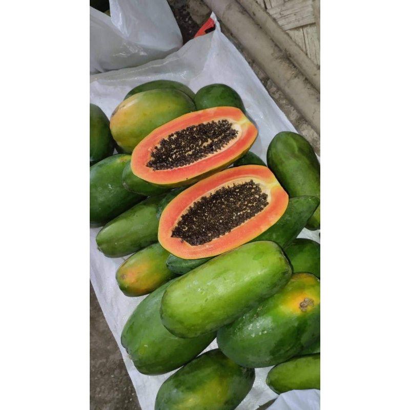 

Pepaya California manis 1buah