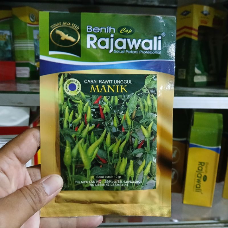 Benih Cabe Rawit Unggul MANIK 10 Gr