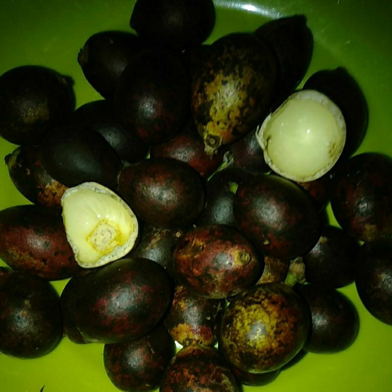 

Buah Matoa manis segar