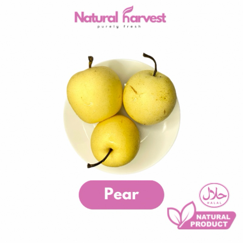 

Pear Century/Buah Pir Super Import | NaturalHarvest!