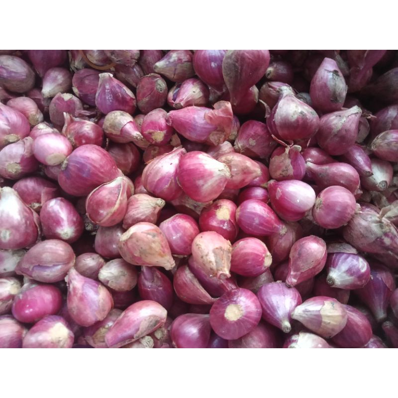 

Bawang merah super 250g - 1kg / bawang merah brebes / bawang merah besar / sayur segar / sayur murah