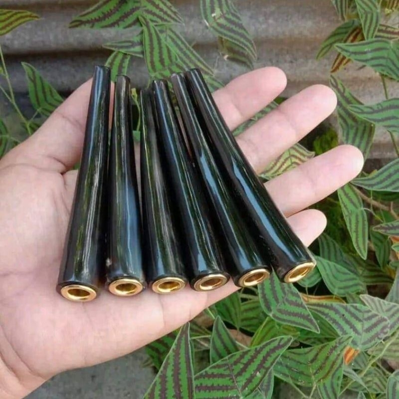 once tanduk kerbau hitam afrika 9-10 cm original termurah