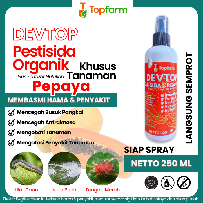 Obat Jamur Pohon Pepaya / Obat Anti Perontok Buah Pepaya / Obat Semprot Pepaya Daun Kuning / Obat Be