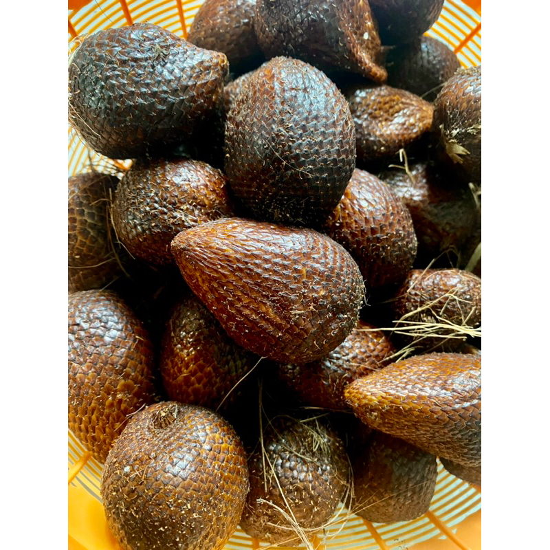 

Salak pondoh (ISI 1 kecil”) grosir asli Turi yogyakarta