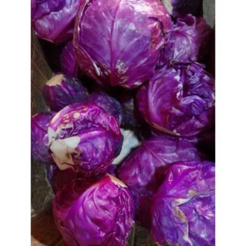 

kol ungu 1 kg