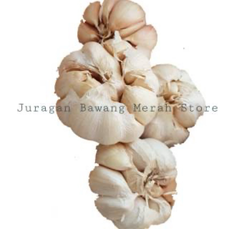 

bawang putih banci atau honan 1 kg