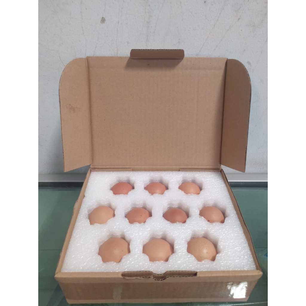 

Telur Negeri Biasa Kemasan Anti Pecah/Bebas Ongkir