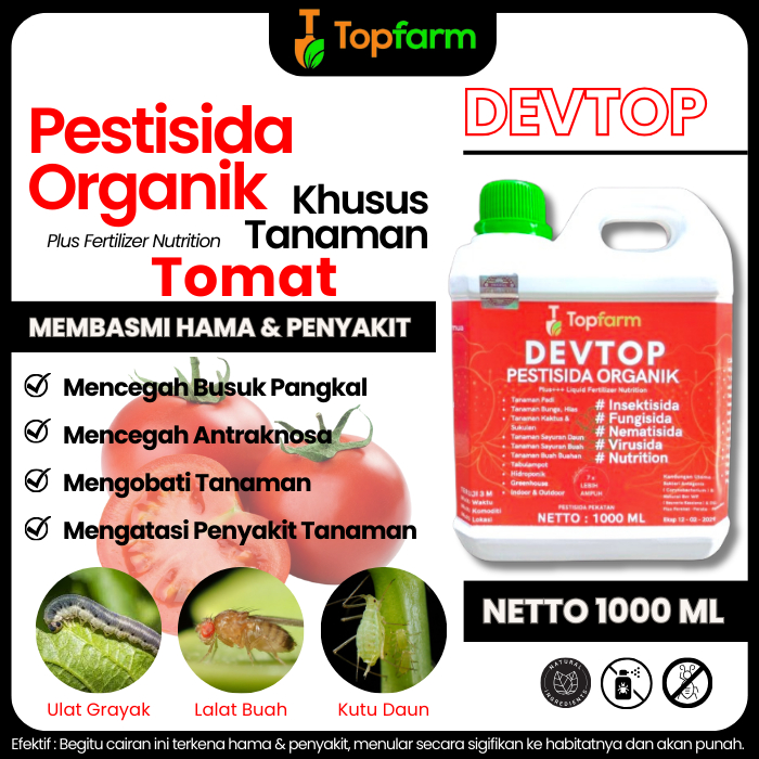 Obat Semprot Hama Daun Tomat / Obat Hama Untuk Tanaman Tomat / Obat Hama Tomat / Obat Hama Ulat Tana