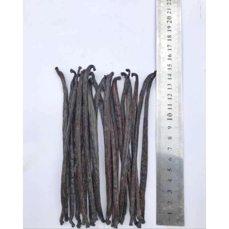 

HARGA TERMURAH | Gourmet Vanilla Bean Tahiti Grade A Super Size 15cm - 18cm