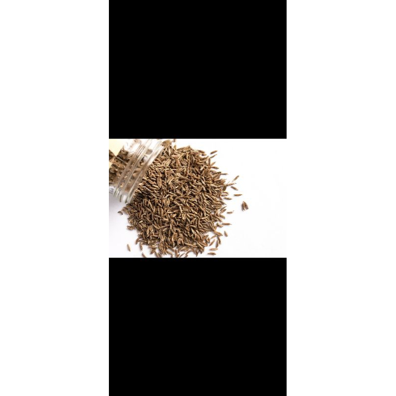 

jinten / caraway murah