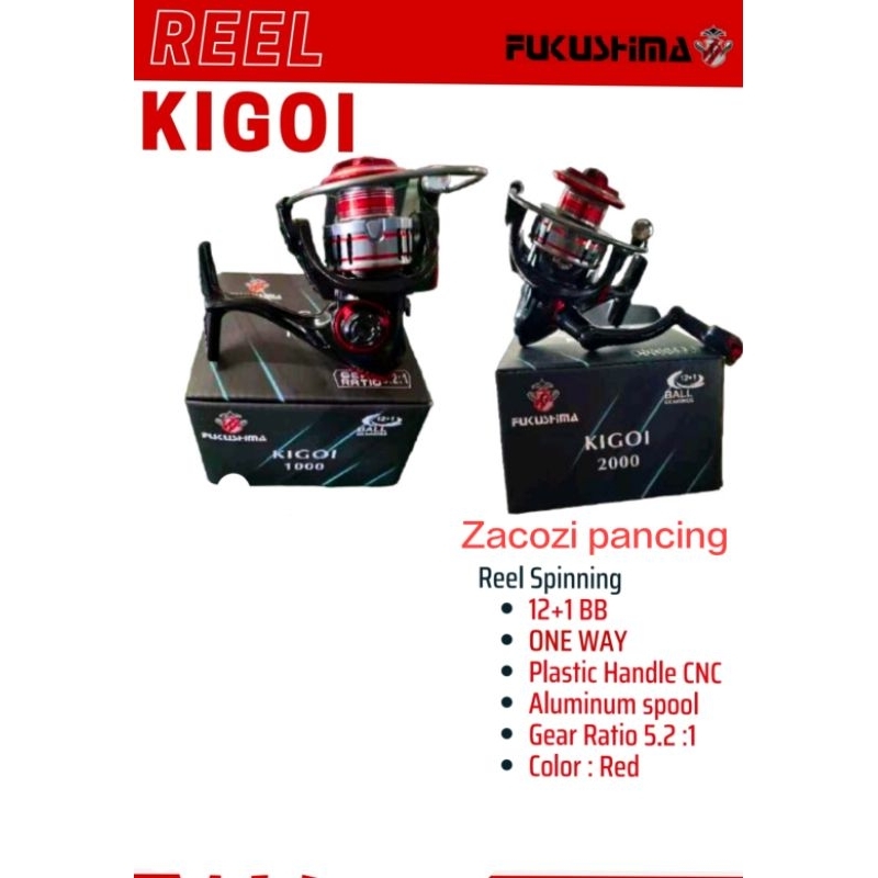 Reel FUGUSHIMA KIGOI