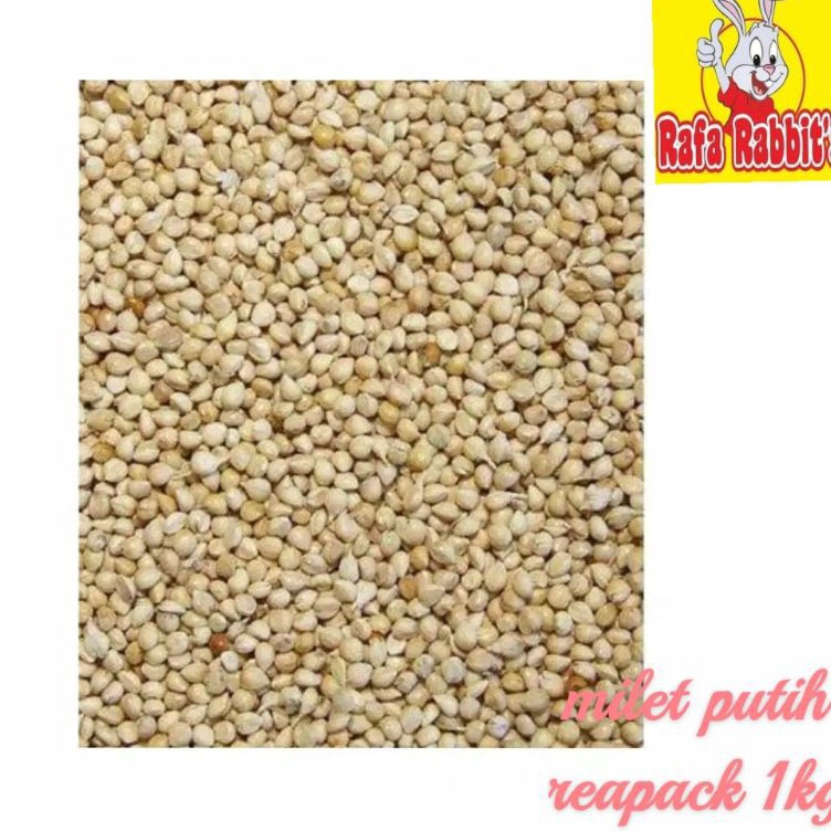 Promo Belanja  Milet putih pakan burung hamster dll 1kg