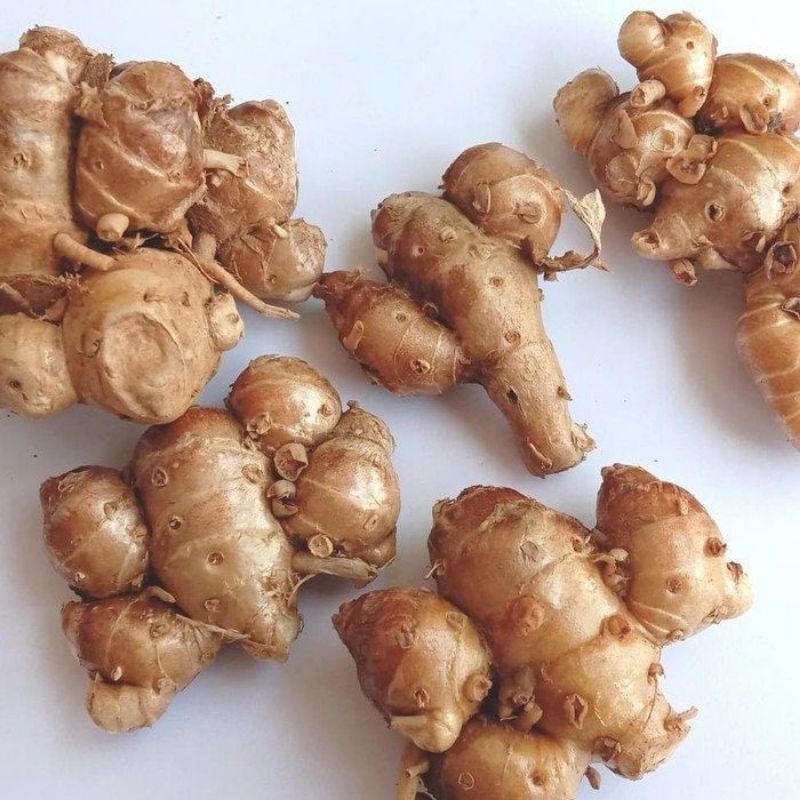 

Kencur 250g - 1kg / kencur / bumbu dapur / bumbu masak / sayur / sayur fresh / sayuran murah