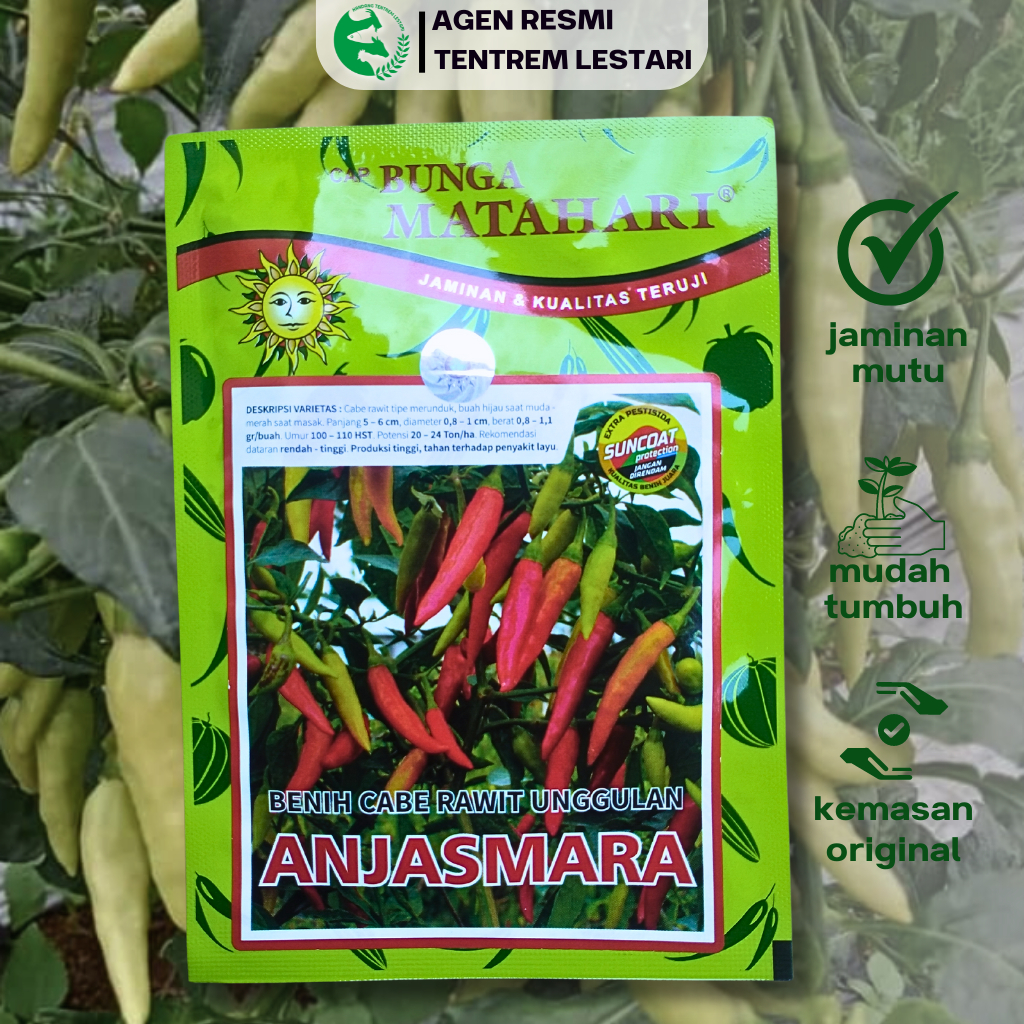 Benih Cabe Rawit ANJASMARA 10 gram Cap Bunga Matahari Lebat Pedas Panjang
