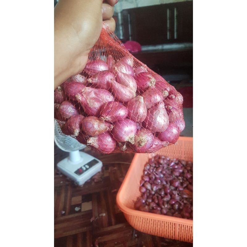 

BAWANG MERAH SUPERR JUMBO 1KG