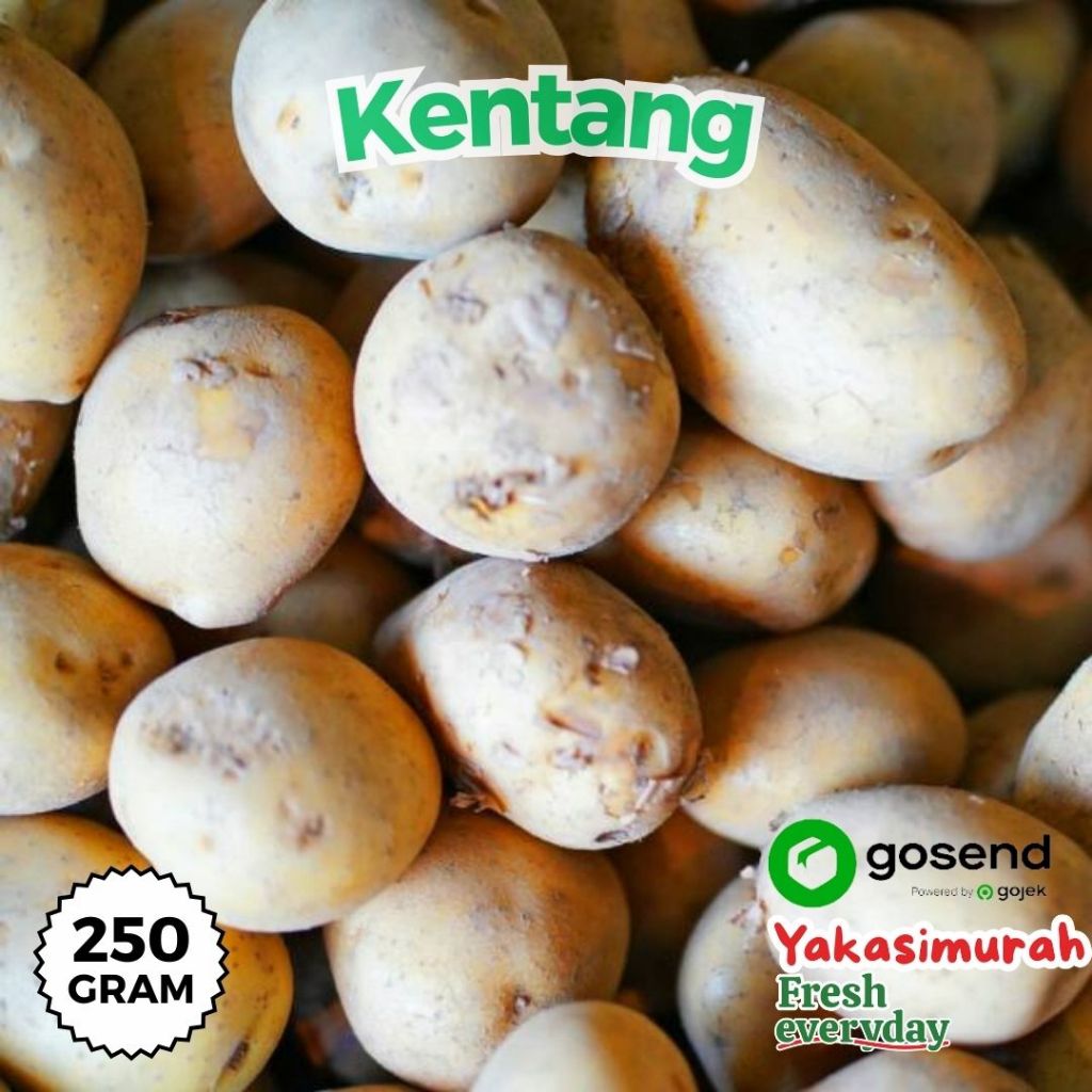 

Kentang Dieng Super / Kentang Dieng Besar 250 gram