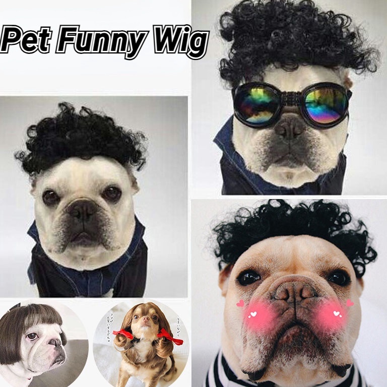 KODE P13B Pet Funny Wig  Wig Hewan Anjing Kucing Cosplay Hewan Anjing Kucing Aksesoris Rambut Untuk 