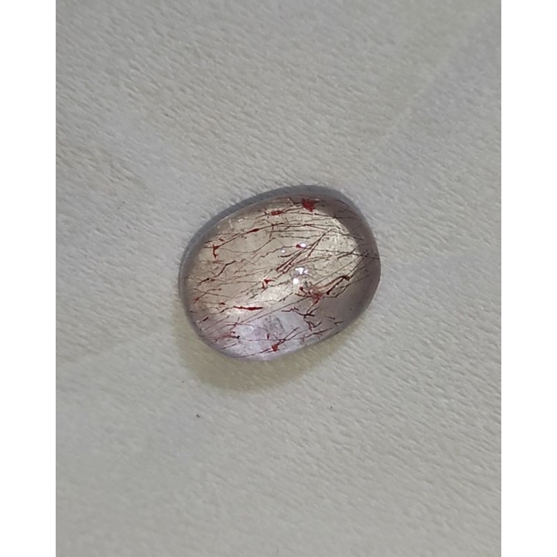 Kecubung Rambut Merah Kecubung Bulu Merah