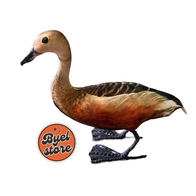 KODE T66L Jontrot Burung Belibis Kembang  Patung Decoy Burung Belibis