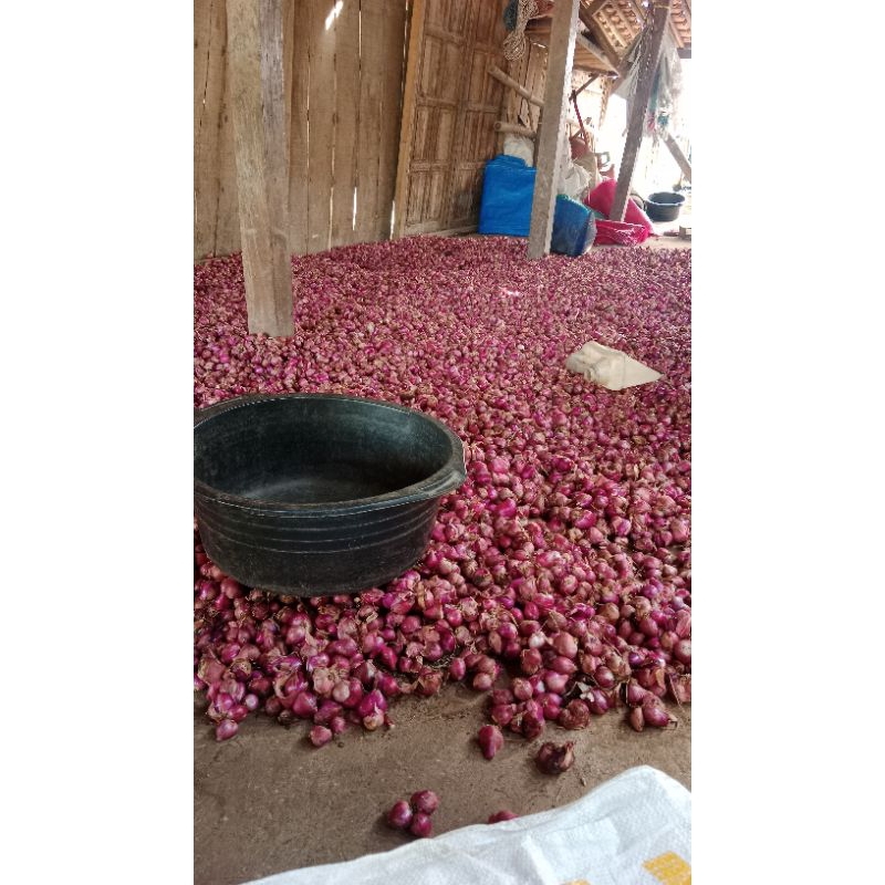 

Bawang Merah SUPER JUMBO!!! Harga murahh harga per 1kg