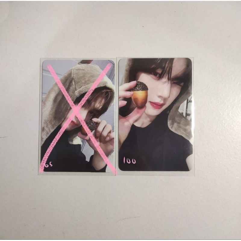 Han Yujin Ld makestar squirrel tupai zb1