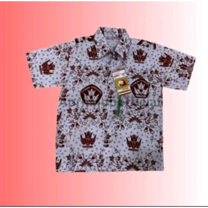 baju batik sekolah SD negeri Medan