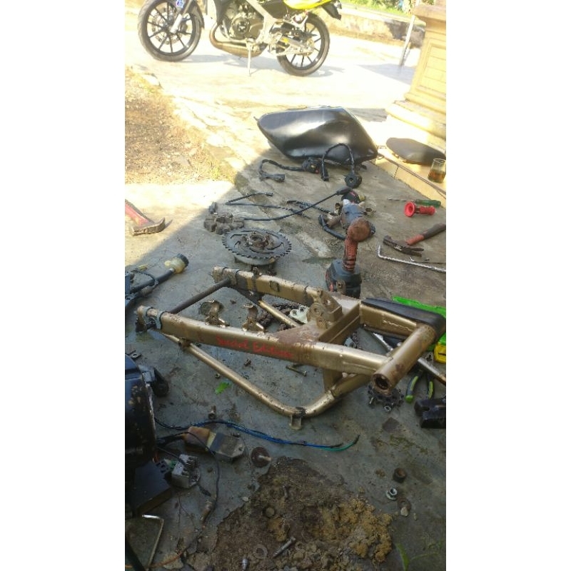 Swing Arm Ninja RR