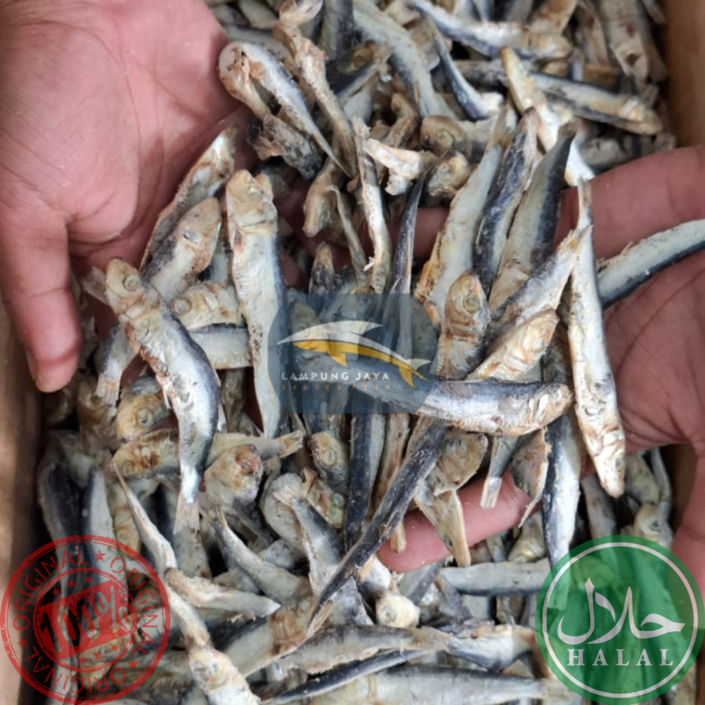 

{BISA COD} 500 GRAM IKAN ASIN LEMURU KECIL BERKUALITAS - HARGA GUDANG MURAH, DISTRIBUTOR PERTAMA DARI PETANI