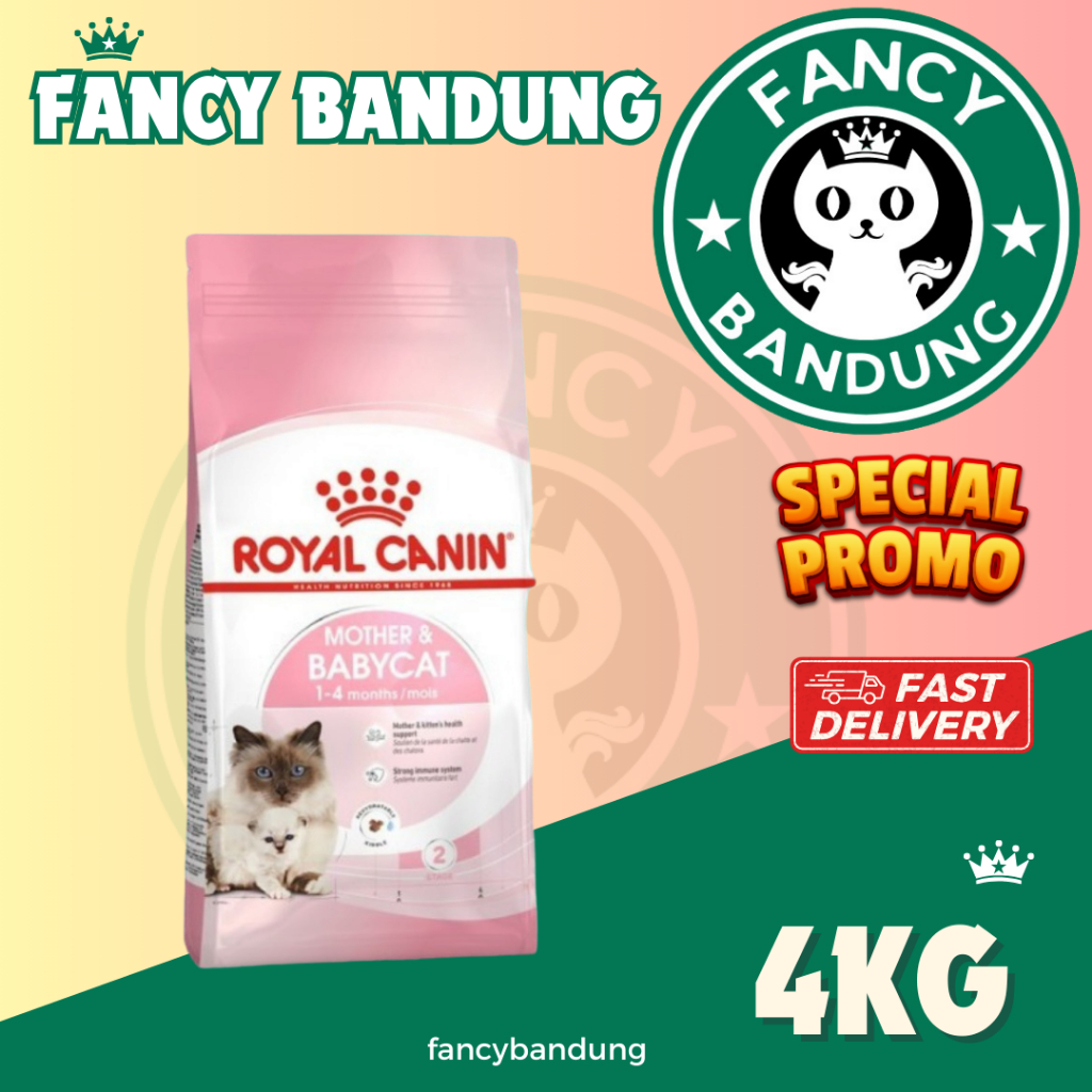 Royal Canin Mother Baby Cat 4kg