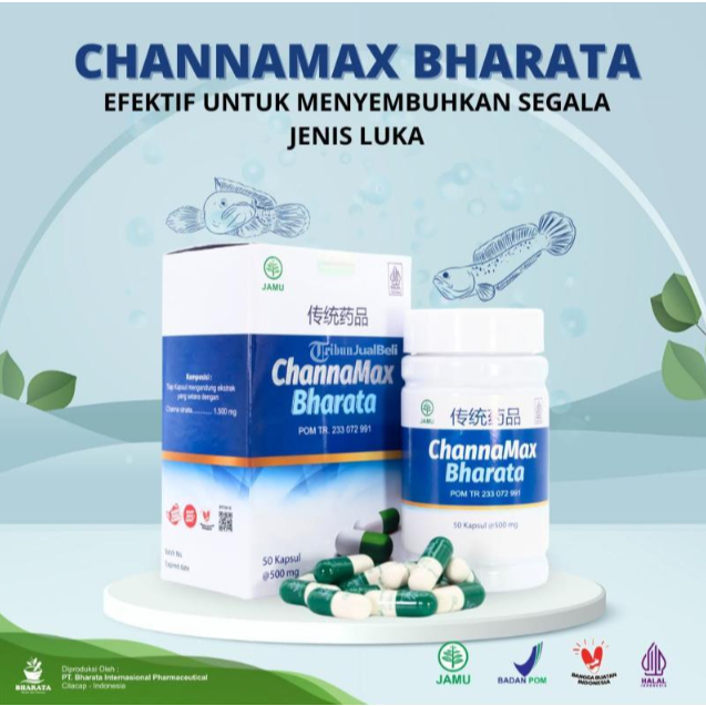 

Channamax Bharata Obat Herbal luka cepat kering Luka Bernanah Pasca Operasi Caesar 100% Original