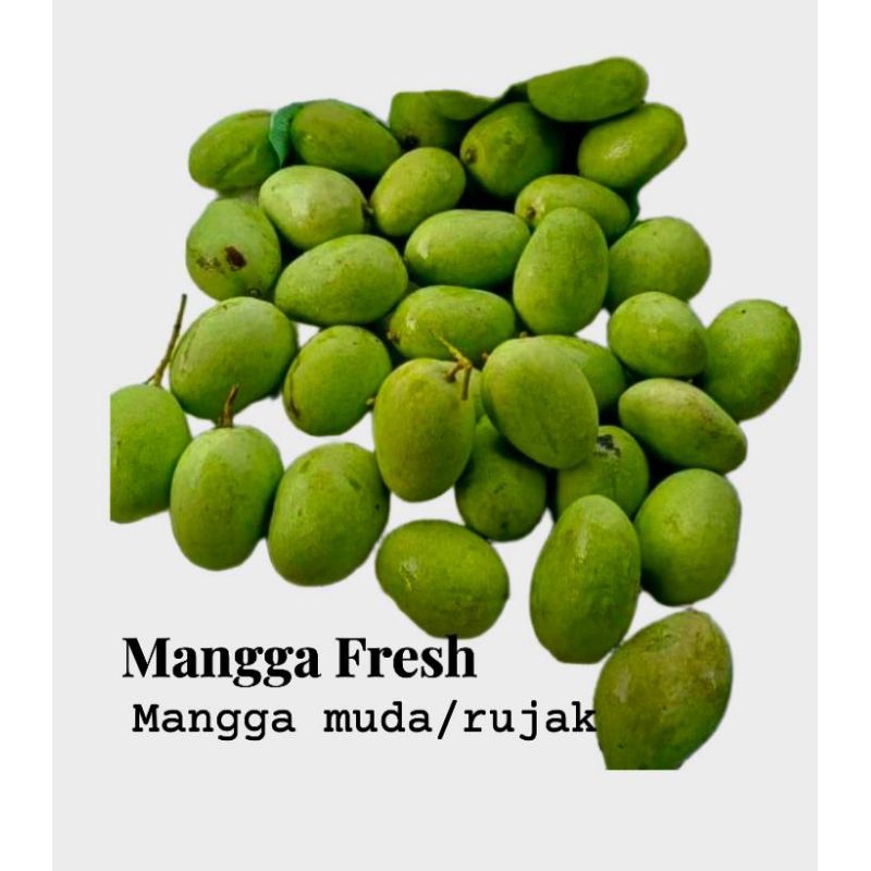 mangga muda 500 gram rujak/mangga hijau/mangga telor,gadung,manalagi,jawa,golek AREA PULAU JAWA